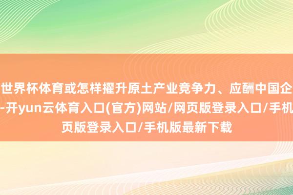 世界杯体育或怎样擢升原土产业竞争力、应酬中国企业达成共鸣-开yun云体育入口(官方)网站/网页版登录入口/手机版最新下载