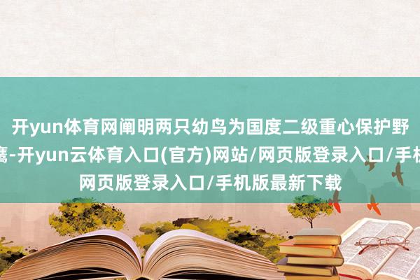 开yun体育网阐明两只幼鸟为国度二级重心保护野天真物赤腹鹰-开yun云体育入口(官方)网站/网页版登录入口/手机版最新下载